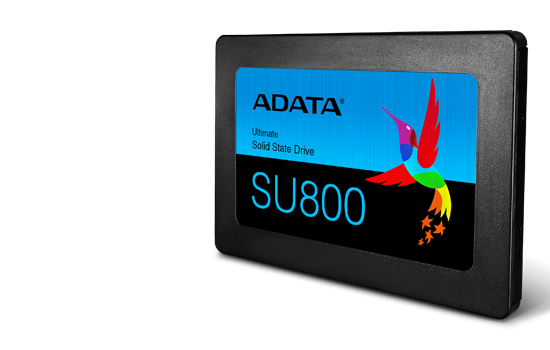 SSD Adata Ultimate SU800 1TB
